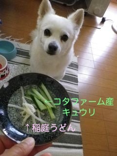 170819-1.jpg