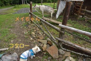 170820-k6.jpeg