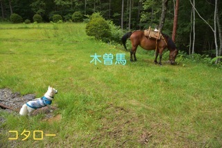 170820-k8.jpeg