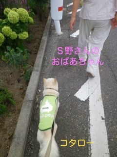 170822-1.jpg