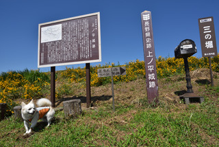 170902-k8.jpg