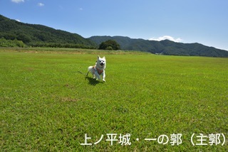 170902-k9.jpg