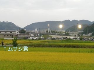 170905-3.jpg