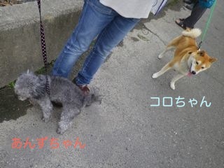 170906-2.jpg
