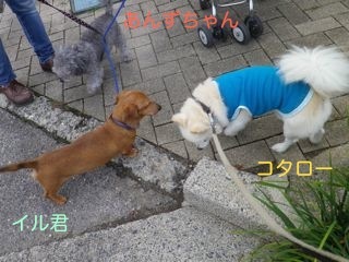170906-4.jpg