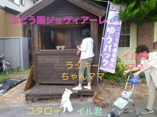 170911-1.jpg