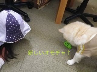 170919-1.jpg