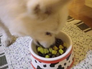 170921-4.jpg