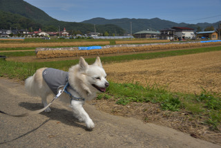 171001-k11.jpg