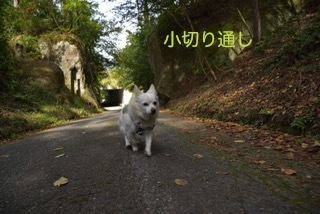 171001-k12.jpg