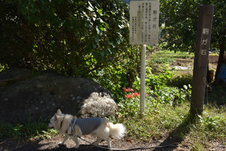 171001-k7.jpg