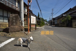 171001-k9.jpg