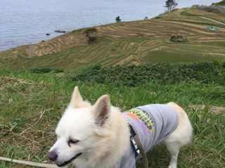 171008-ki2.jpg