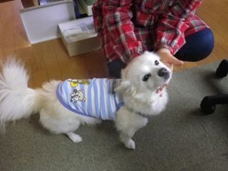171013-1.jpg
