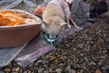 171014-k3.jpeg