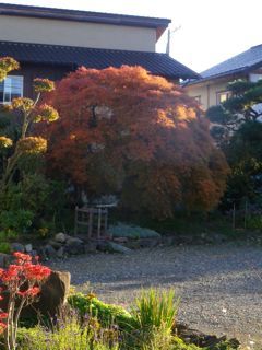 171101-1.jpg