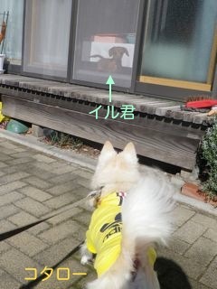 171116-2.jpg