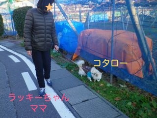 171121-1.jpg