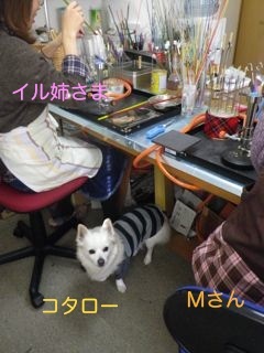 171125-2.jpg
