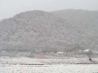 171208-5.jpg