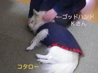 171213-3.jpg