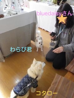 171217-3.jpg