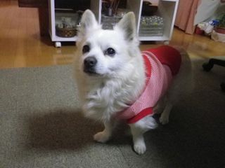 171221-1.jpg