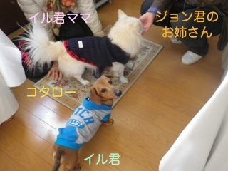 171225-5.jpg