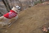 180101-k10.jpg