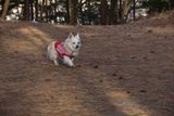 180101-k11.jpg