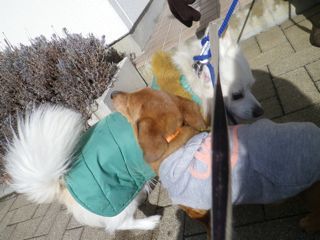 180124-5.jpg