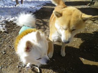 180125-2.jpg