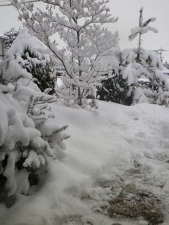180202-1.jpg