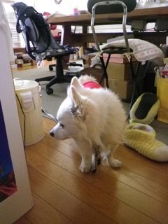 180224-6.jpg