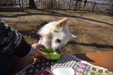180303-k5.jpeg