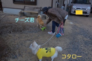 180304-k7.jpeg