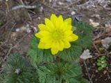180315-1.jpg