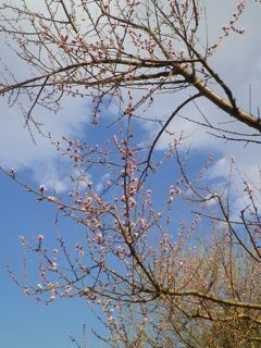 180315-4.jpg