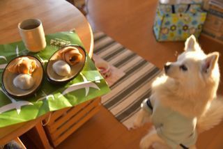 180317-k10.jpg
