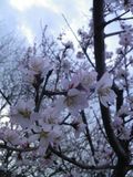 180319-2.jpg
