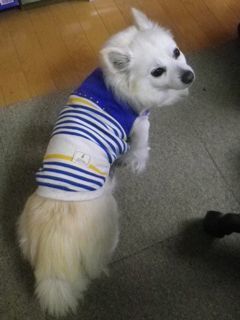 180319-5.jpg
