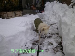 180322-1.jpg