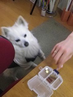 180331-2.jpg