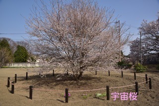 180401-k16.jpeg