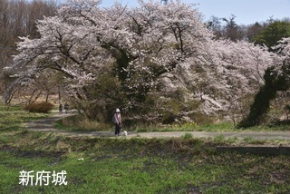 180401-k2.jpeg
