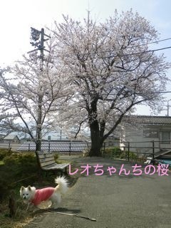 180403-1.jpg