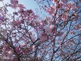 180404-1.jpg