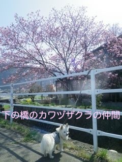 180404-2.jpg