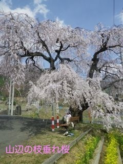 180404-4.jpg