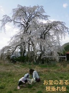 180404-6.jpg